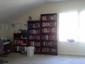 Windows and bookcases